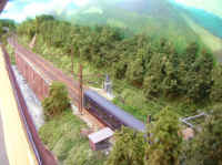 la_jungle_corezienne 0002.jpg (104232 octets)