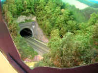 la_jungle_corezienne 0004.jpg (109347 octets)