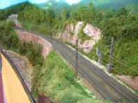 la_jungle_corezienne 0005.jpg (107553 octets)